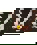Kelly Sikkema 9Kclazjzfj0 Unsplash
