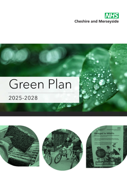 Green Plan 2025 2028 Cover