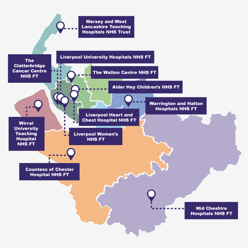 Updated Website Map