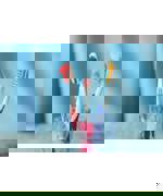 Pexels Towfiqu Barbhuiya 3440682 13466251