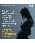The pertussis vaccine, given to pregnant women, helps protect young babies against whooping cough from birth