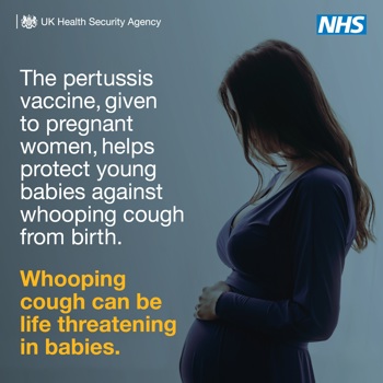 The pertussis vaccine, given to pregnant women, helps protect young babies against whooping cough from birth