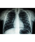 Umanoide Ths9j3hwt1s Unsplash