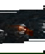 A hand