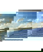 Pexels Pixabay 356036