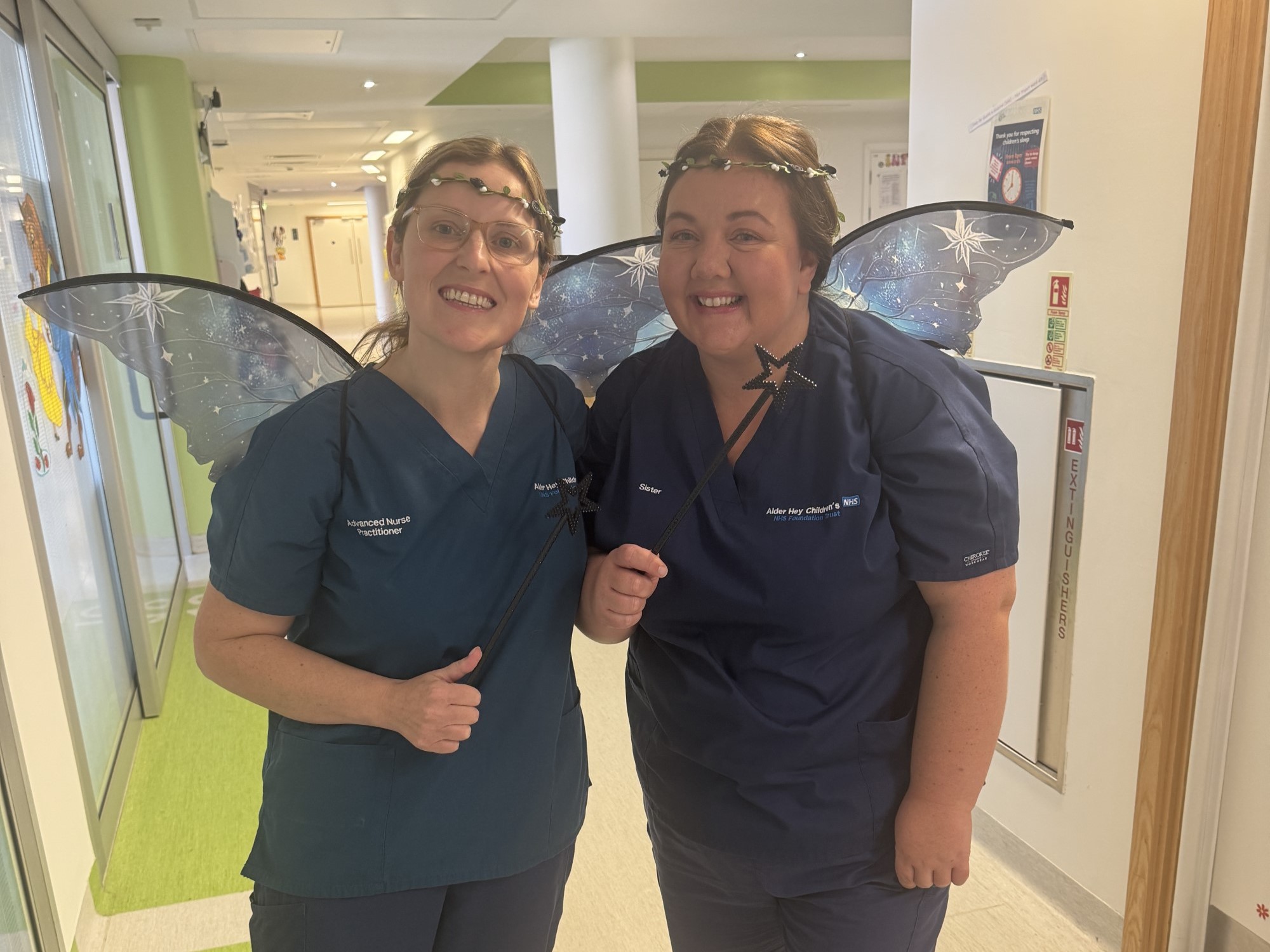 Flu Fairies